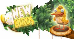 http://1000rabota.ru/wp-content/uploads/2016/10/new-birds.jpg