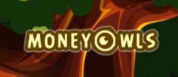 money-owls.org